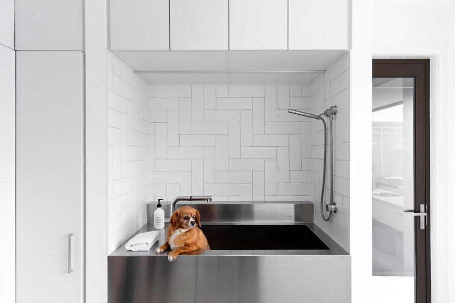 Spring Creek Dog wash